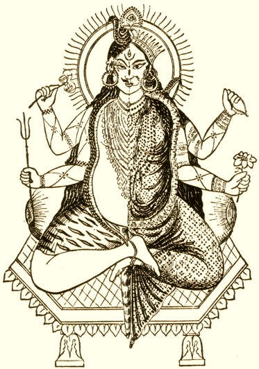 Posted Image
